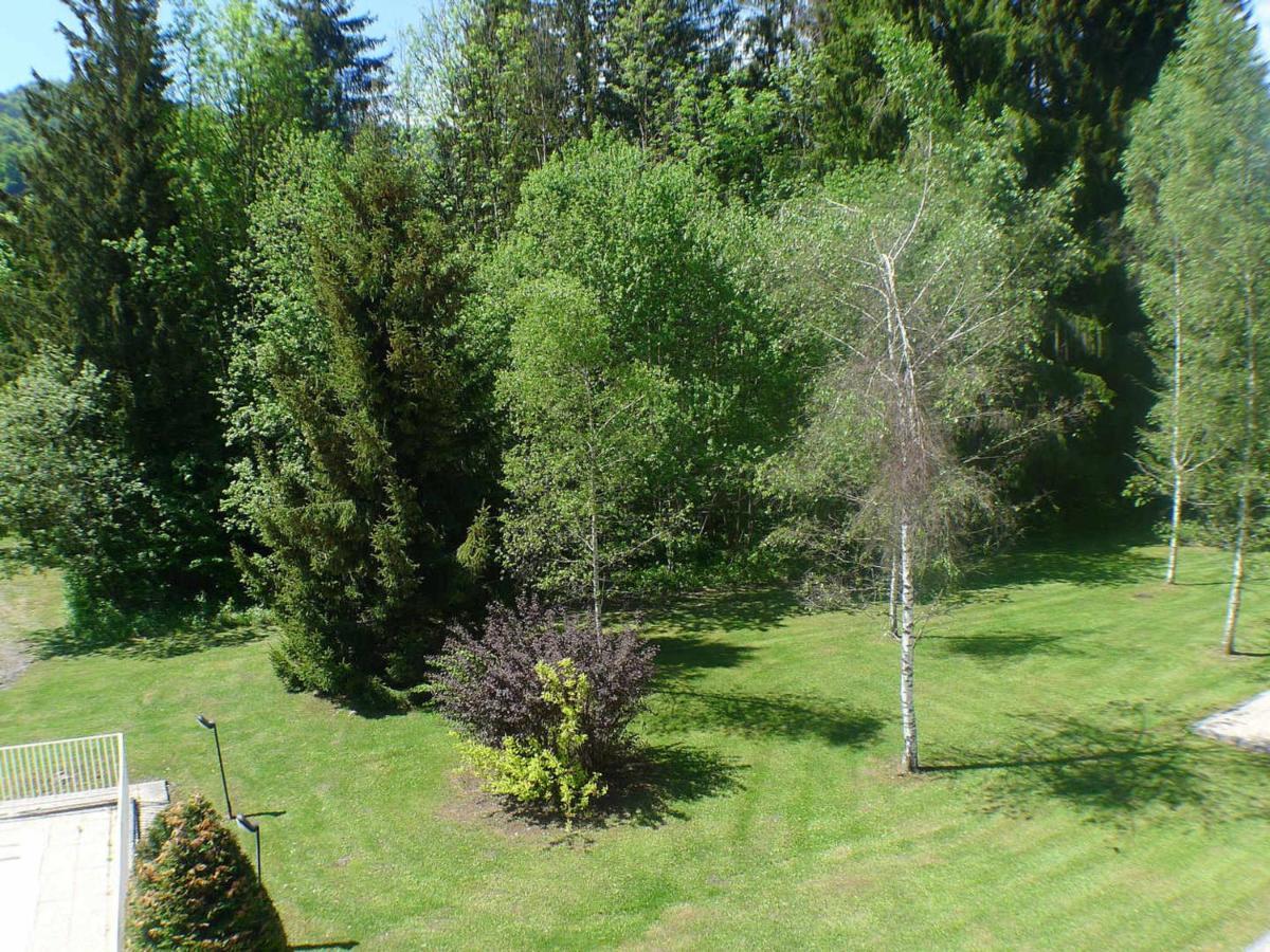 Appartement Confortable Avec Piscines, Terrasse Et Parking A Samoens - Fr-1-629-100 Exterior foto